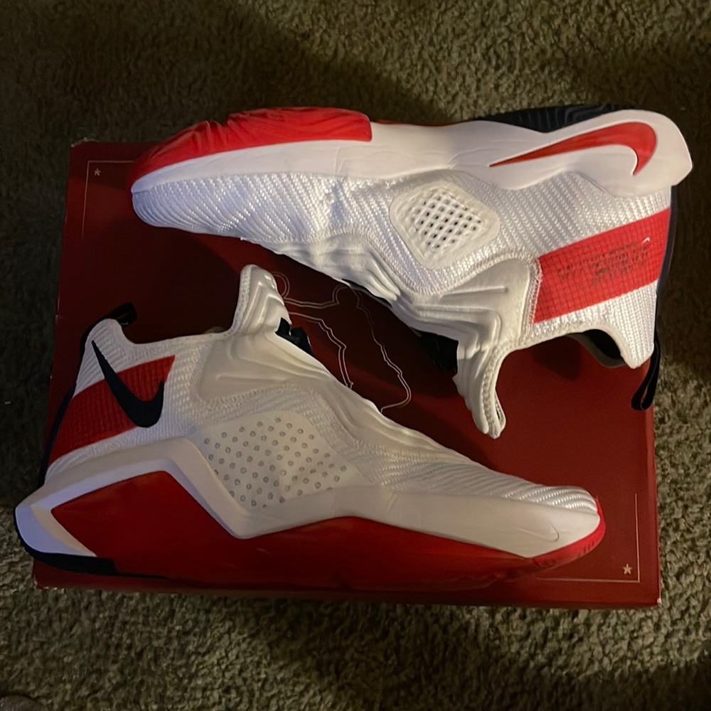 Lebron Soldier XIV